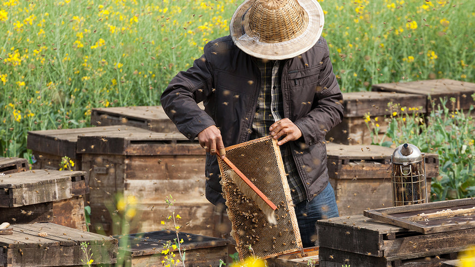 Suits for honey harvesting